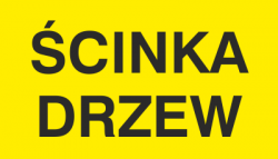 ŚCINKA DRZEW 857-42